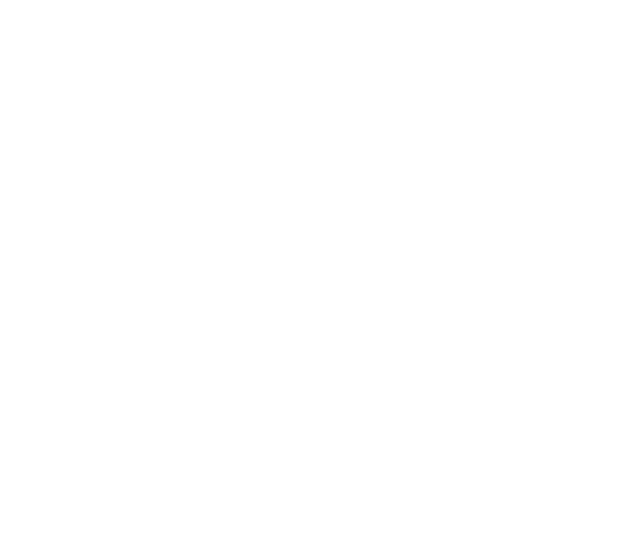 Medaille D109 Ø 40mm - 40mm / Bronze