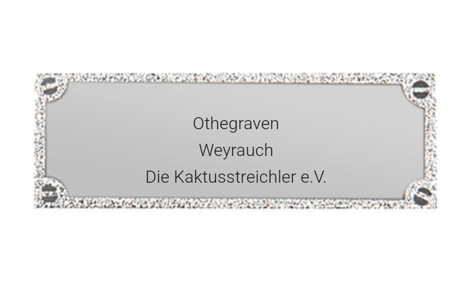 Gravurschild edel in Silber - Silber / 73 x 28 mm