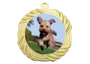Medaille BS.ME95 Ø 70 mm - Gold / 70 mm