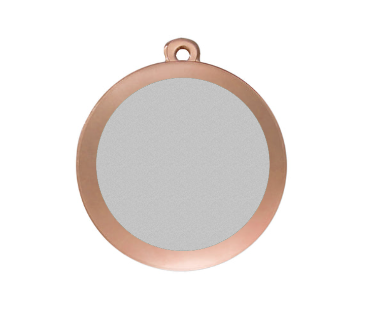 Medaille Fußball D101 59x39 mm - Bronze / 59x39 mm