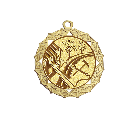 Medaille BS.ME96  Ø 70mm - Gold / 70 mm