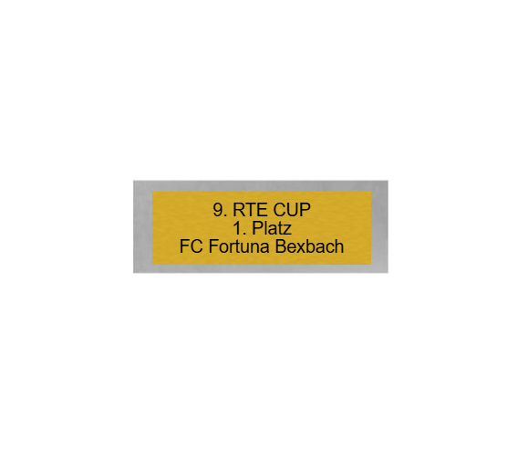 Fußball Pokal FG401 - Silber Mehrfarbig / 30 cm