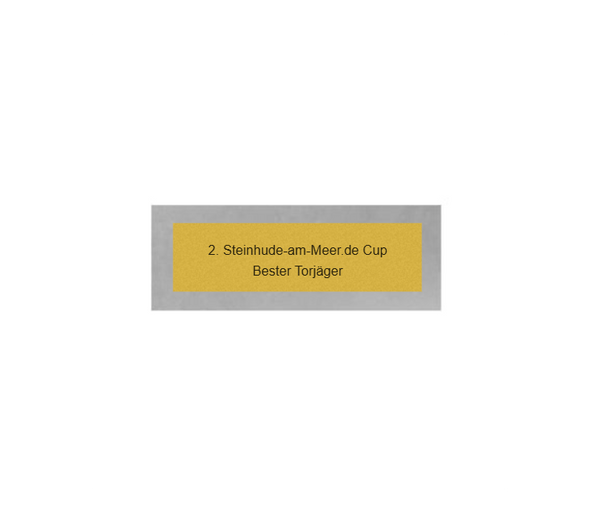 Fussball Trophäe FG156 - Grau Gold / 13,5 cm