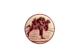 Medaille F3C Ø 75 mm - Bronze / 75 mm