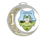 Medaille 080C Ø 70 mm - Gold / 70 mm