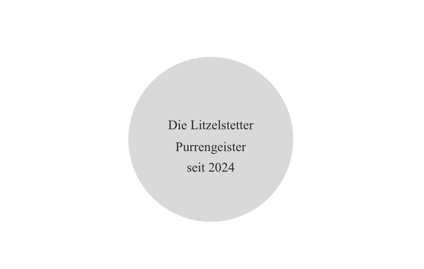 Karnevals Medaille M9165 Ø 50mm - 50 mm / Silber