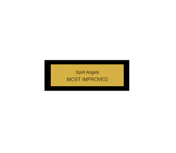 Mini Pokal Stern 190-G - Gold / 10 cm