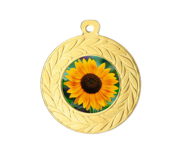 Medaille D10 Ø 45mm - Gold