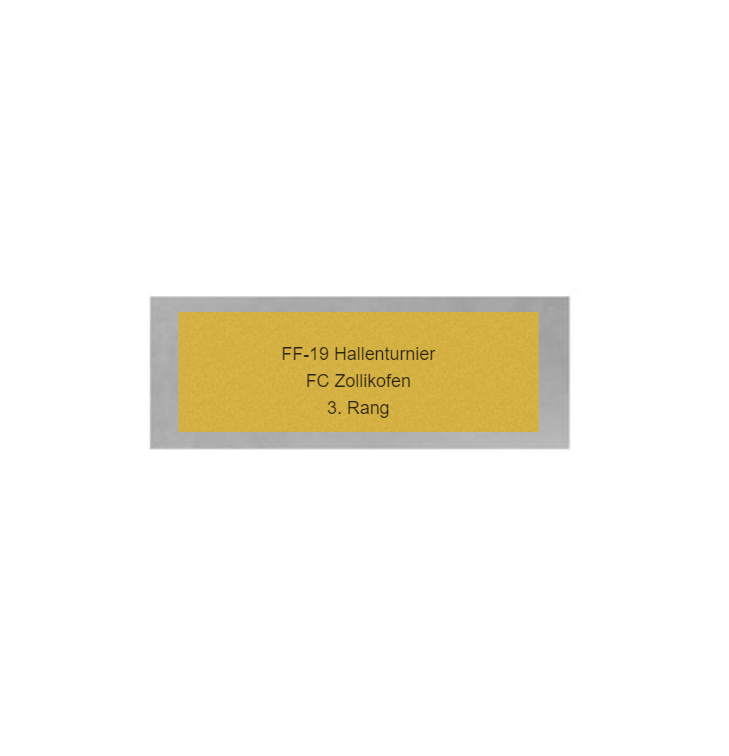 Fußball Pokal 3735x - Silber Gold / 30 cm