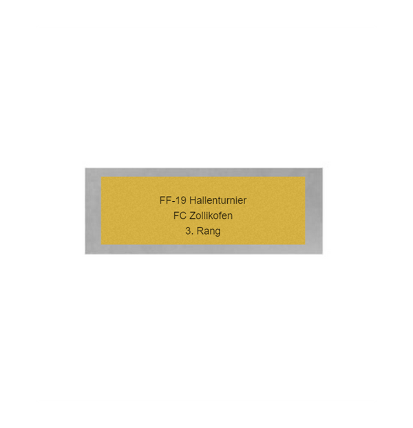 Fußball Pokal 3735x - Silber Gold / 30 cm