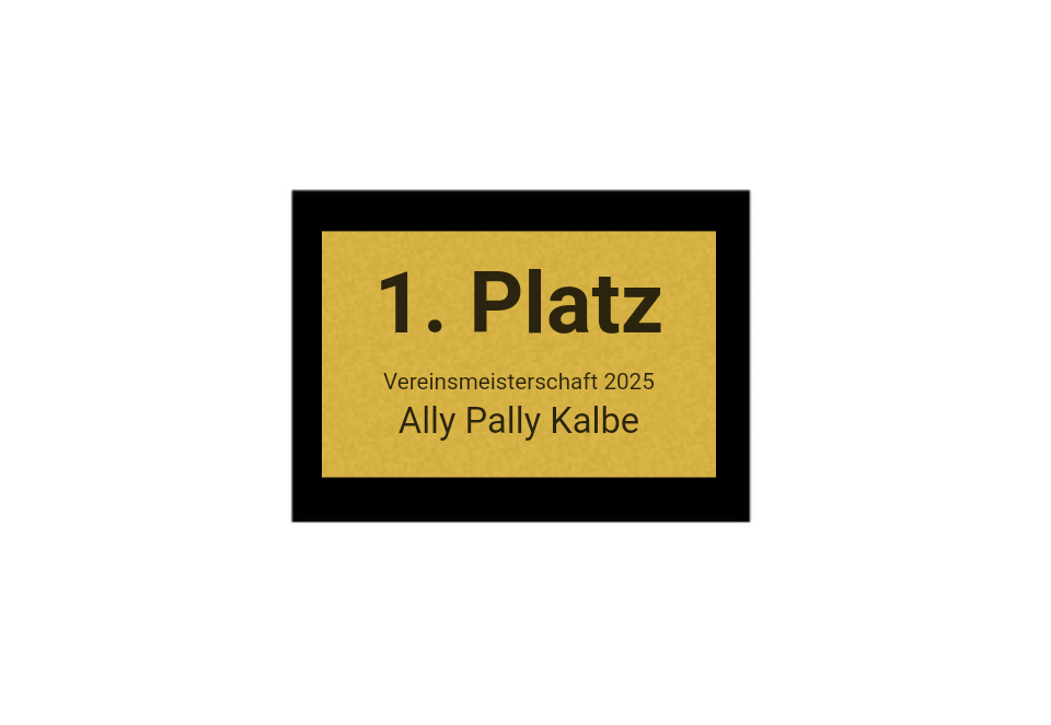 Pokalserie X161 Dart - Silber Mehrfarbig / 29.5 cm