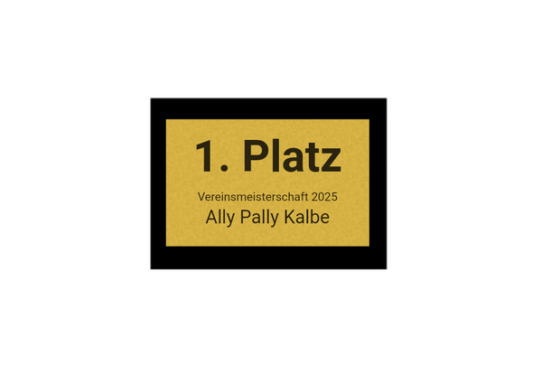 Pokalserie X161 Dart - Silber Mehrfarbig / 29.5 cm