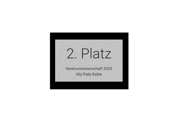 Pokalserie X161 Dart - Silber Mehrfarbig / 29.5 cm