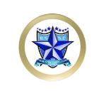 Fußball Trophäe 3963 - Bronze Gold / 27 cm