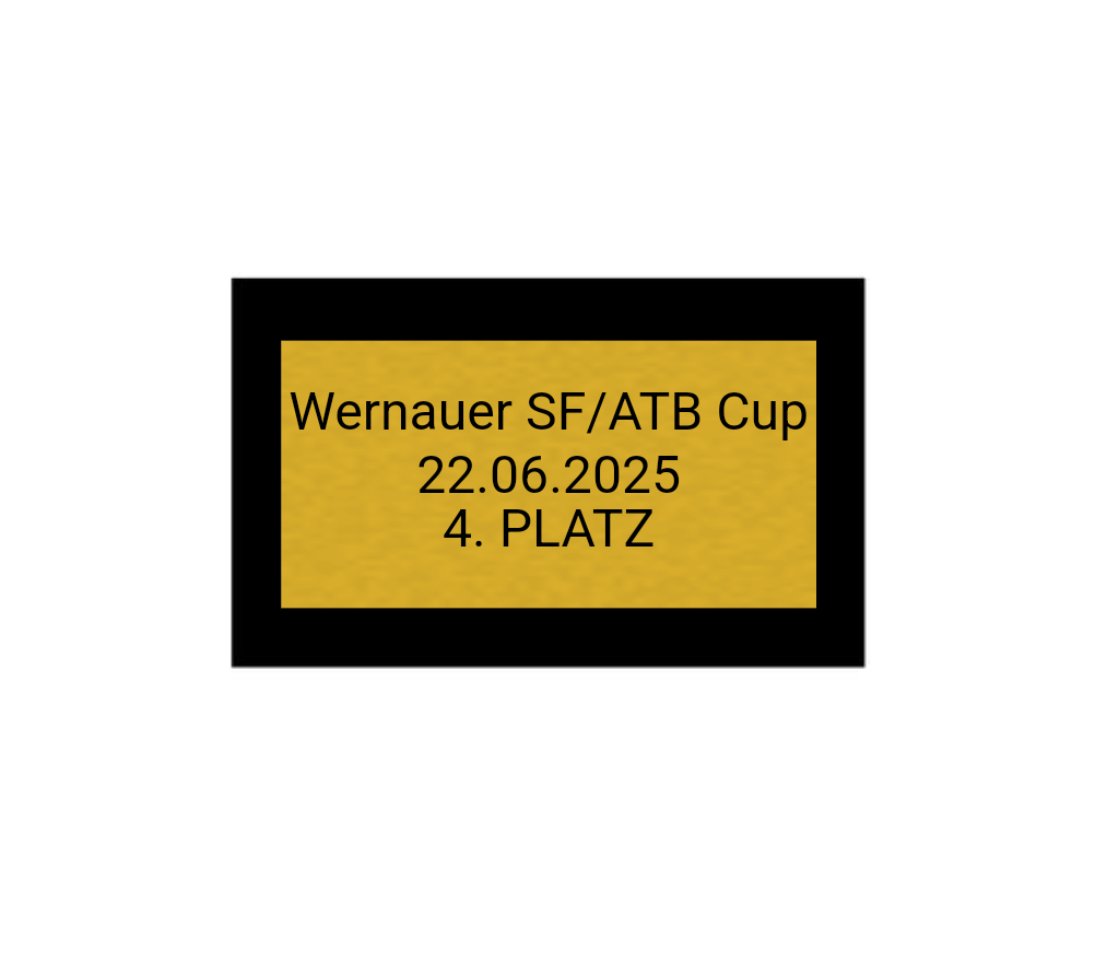 Fußball Pokal 85-3 teilweise begrenzt! - Silber Gold / 28 cm