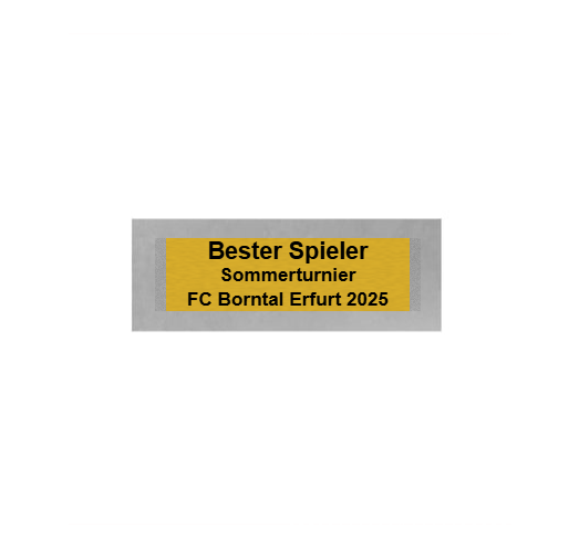 Fußball Trophäe FG156 - Grau Gold / 13,5 cm