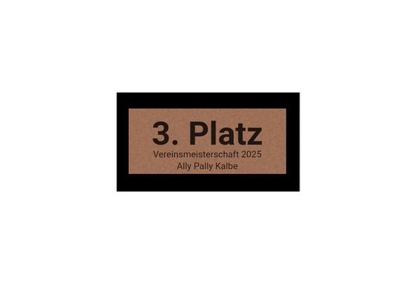 Pokalserie X161 Dart - Silber Mehrfarbig / 25 cm