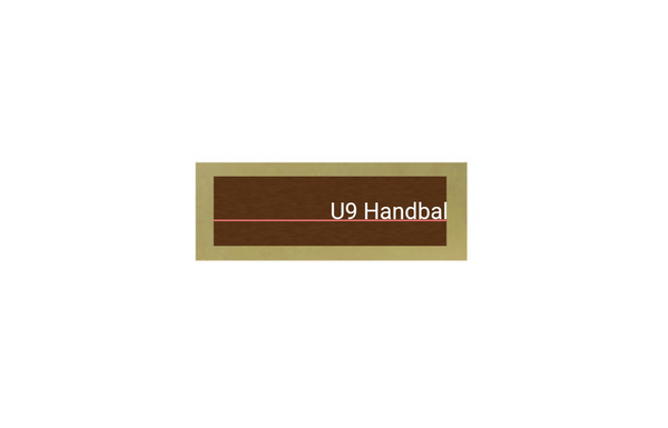 Handball Pokal 39326 SM - Gold/Silber / 13 cm