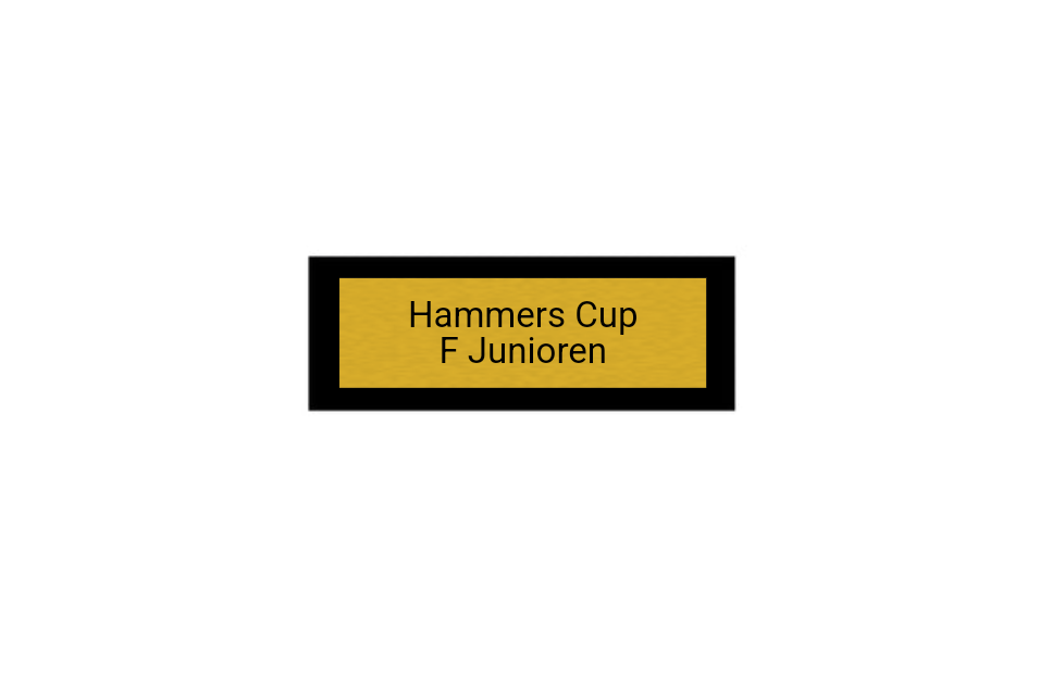 Pokal Fußball ST.184 - 20.5 cm / Gold