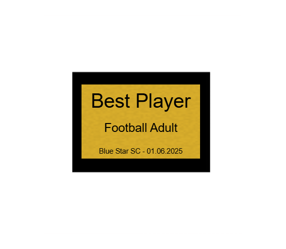 Pokalserie X161 Fußballschuh - Silber Mehrfarbig / 29.5 cm