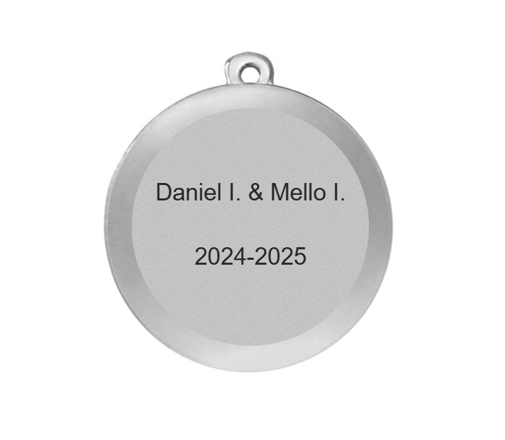 Karnevals Medaille M9165 Ø 50mm - 50 mm / Silber