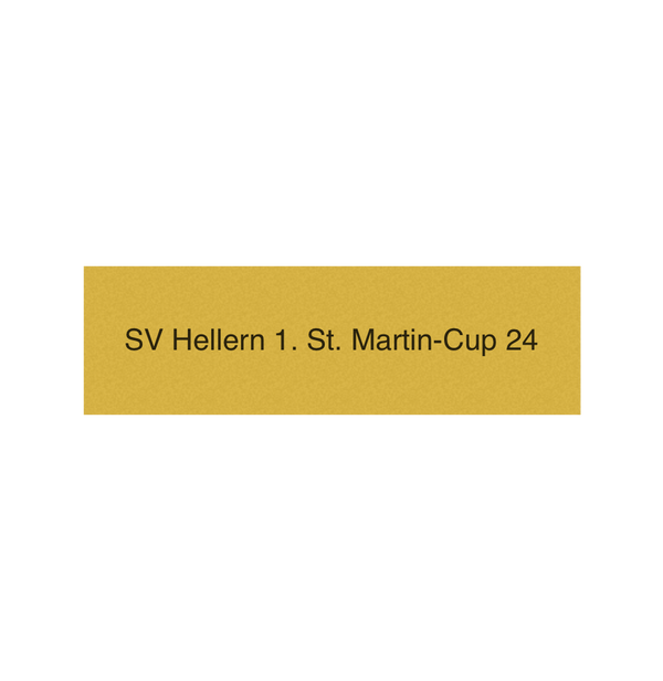 Pokal Serie 120 - 24 cm / Silber/Gold