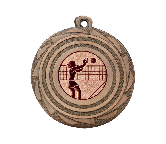 Medaille BS.ME100 Ø 45 mm - Bronze / 45 mm