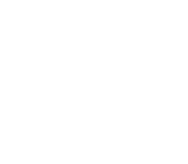 Karnevals Medaille D54-S - Silber / 50x56x2mm