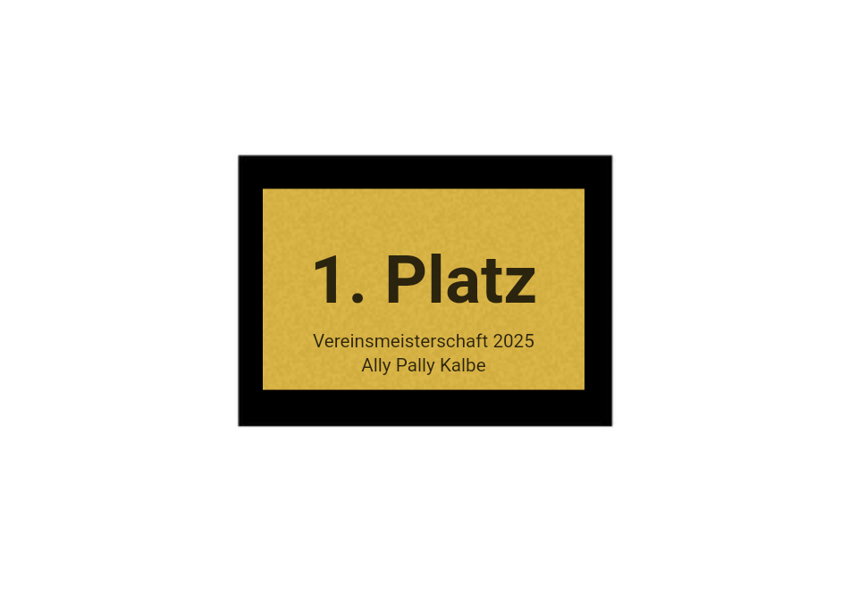 Pokalserie X161 Dart - Silber Mehrfarbig / 29.5 cm