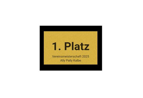 Pokalserie X161 Dart - Silber Mehrfarbig / 29.5 cm