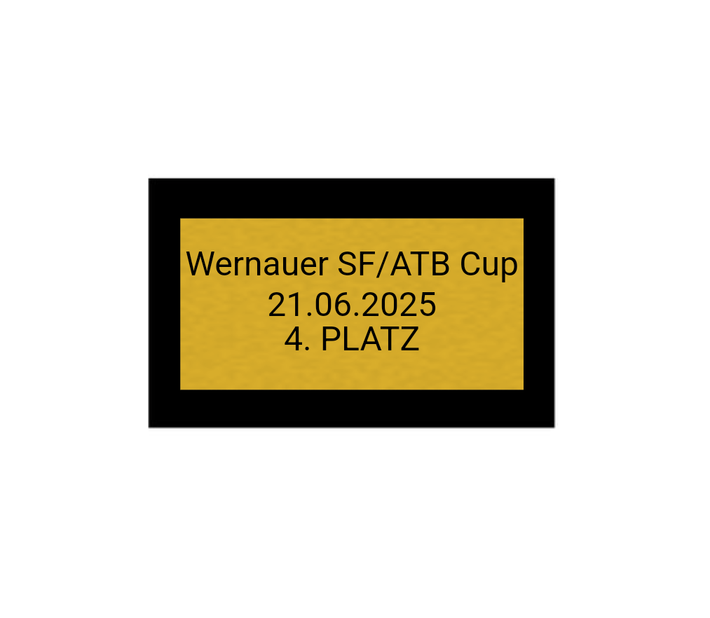 Fußball Pokal 85-3 teilweise begrenzt! - Silber Gold / 28 cm