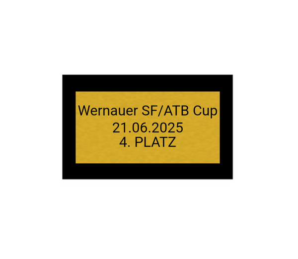 Fußball Pokal 85-3 teilweise begrenzt! - Silber Gold / 28 cm