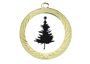 Medaille BS.ME76 Ø 70 mm - Gold / 70 mm