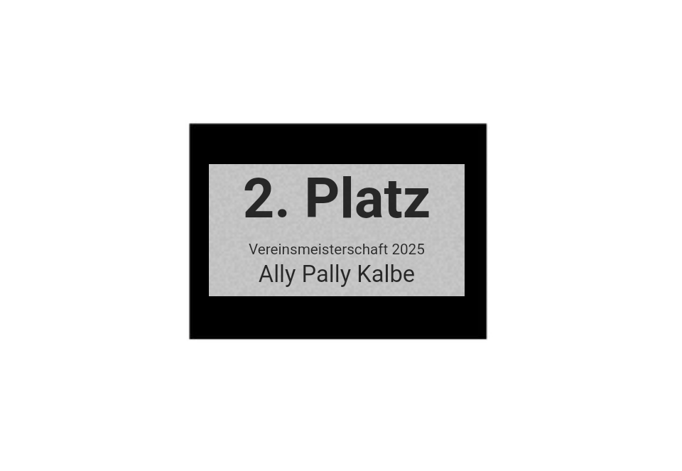 Pokalserie X161 Dart - Silber Mehrfarbig / 26.5 cm