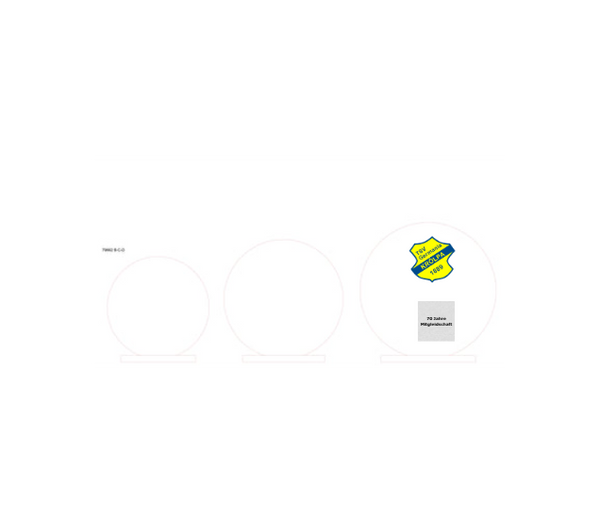 Budget Awards 79662 - Transparent / 20x20 cm / Farbdruck