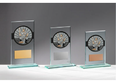 Glas Pokal Angler FG010 - 19 cm / Transparent Schwarz