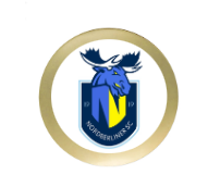 Fussballpokal 3939 - Altgold / 39 cm