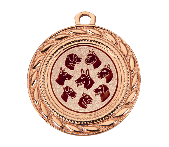 Medaille D109 Ø 40mm - 40mm / Bronze