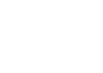 Karnevals Medaille D54-S - Silber / 50x56x2mm