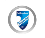 Fußballpokal 3949 - 17 cm / Silber Gold