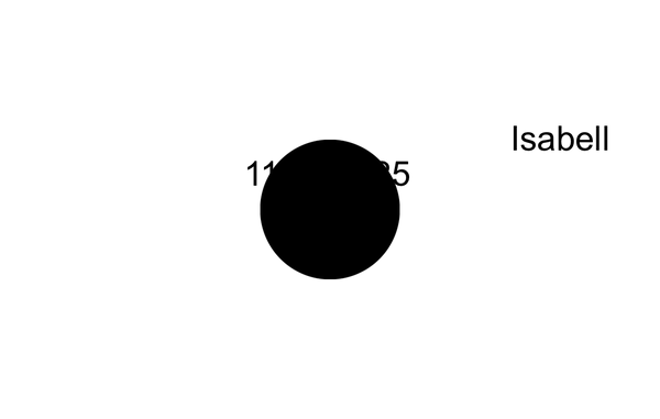 Zinn Geburtsteller Z1162 - Rein Zinn / 23 cm