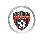 Fußball Pokal  3947x - Silber Gold / 20 cm