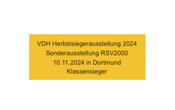 Kunststoff matt Gold slbstklebend - Gold/Kunststoff / 113 x 45 x 0.8 mm