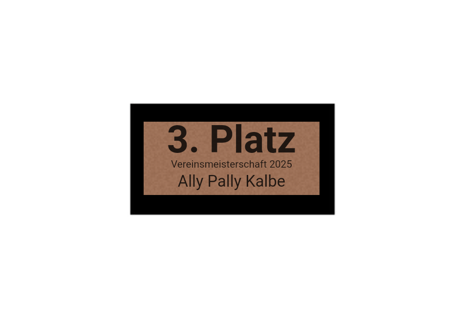 Pokalserie X161 Dart - Silber Mehrfarbig / 25 cm