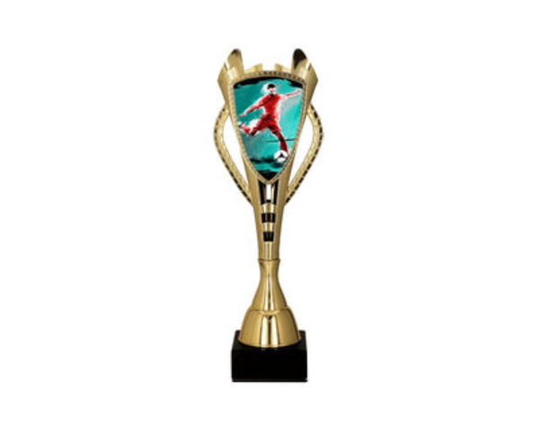 Fußball Pokal 7243/SOC1 - 30 cm / Gold Bunt