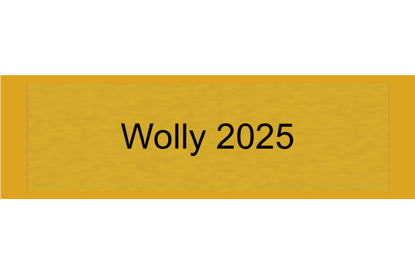 Gravurschild Gold selbstklebend - Gold / 50 x 15 mm