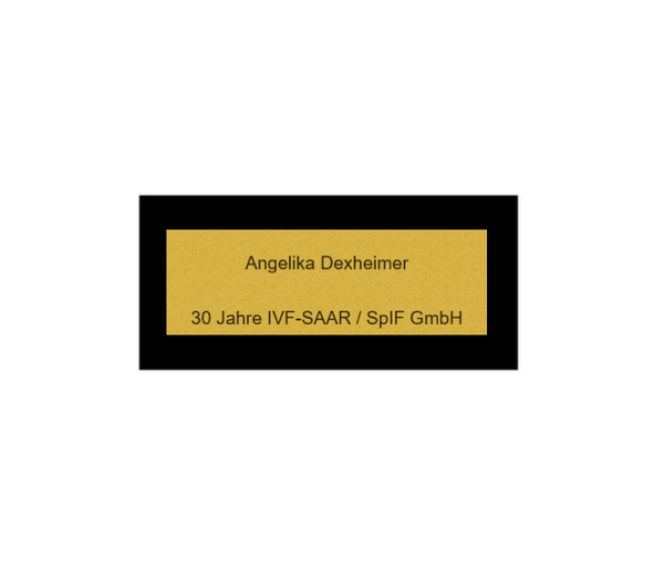 Hollywood Classic Award in Gold - Gold / 24 cm