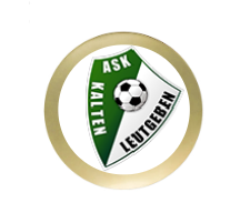 Ehrentafel 188-0 - Gold / 25 x 30 cm