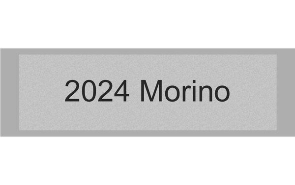 Gravurschild Silber selbstklebend - Silber / 50 x 15 mm