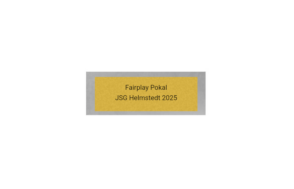 Fußball Pokal 044 - Silber - Gold / 14 cm